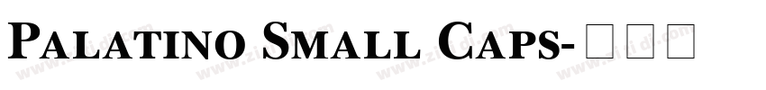 Palatino Small Caps字体转换